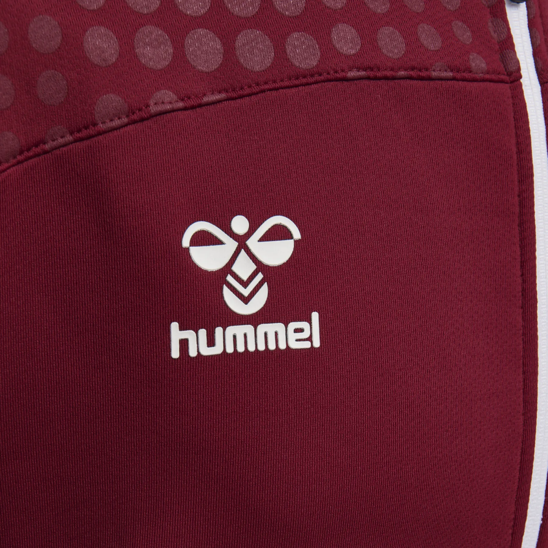 Felpa con cappuccio Hummel hmlLEAD